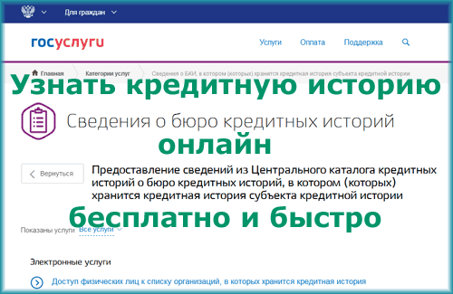 Кредитная история на портале Госуслуги